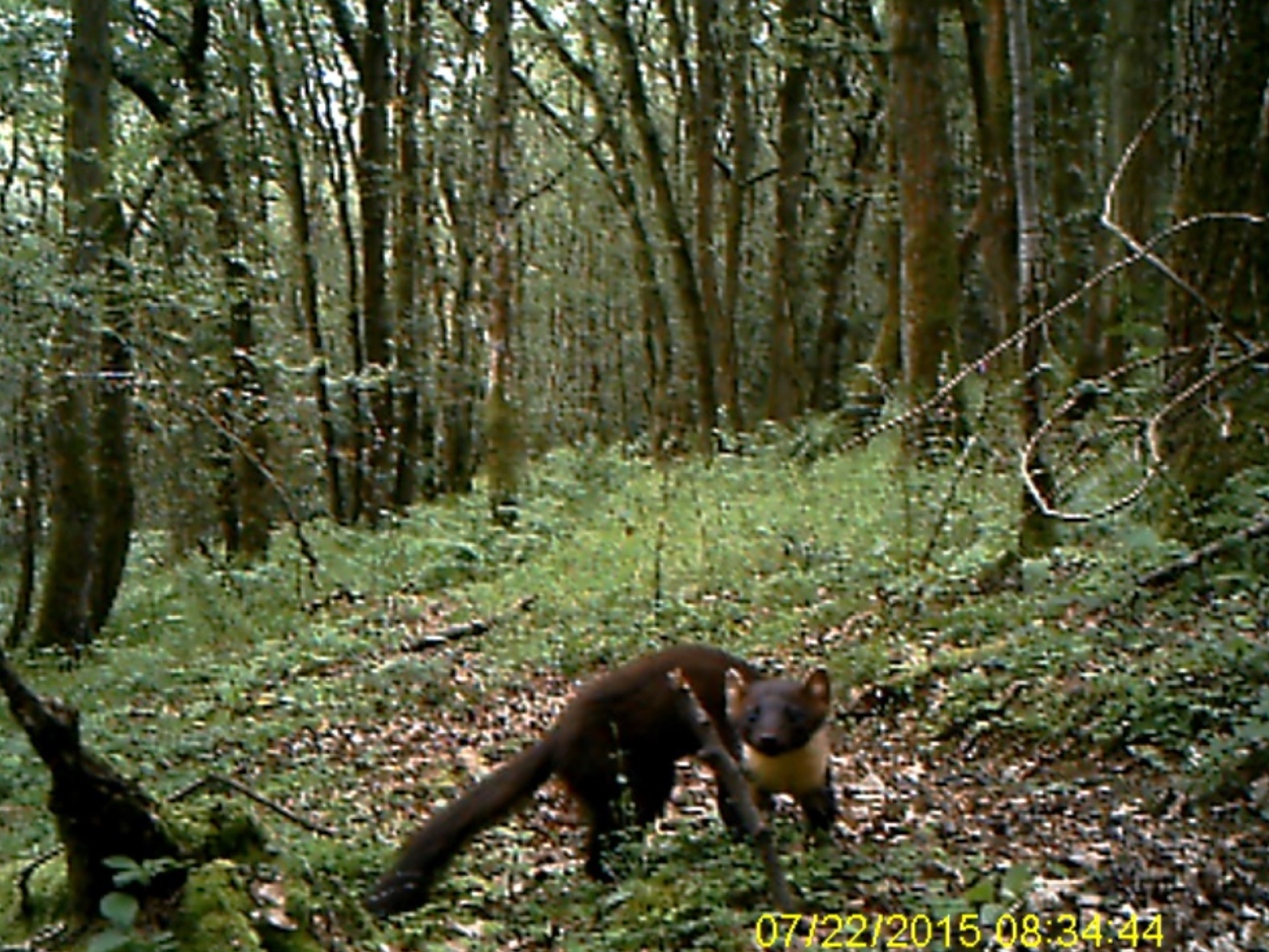 (C) Stuart Edmunds2015